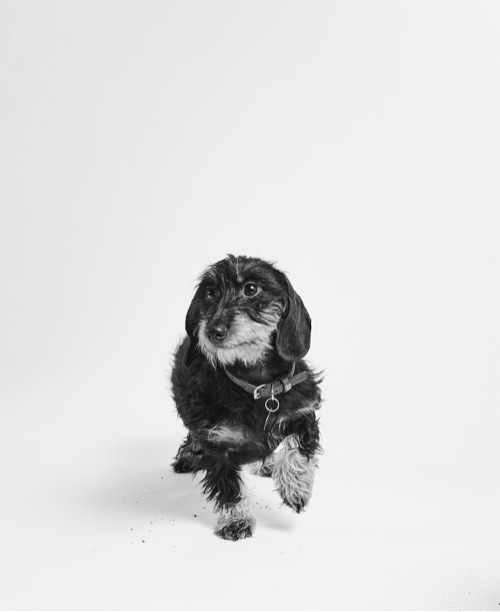Team member | Margo